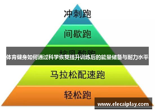 体育健身如何通过科学恢复提升训练后的能量储备与耐力水平