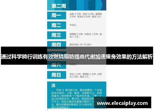 通过科学骑行训练有效燃烧脂肪提高代谢加速瘦身效果的方法解析